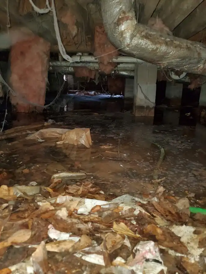 Crawl space flood assessment for Leak Detection & Repair in St. Francis