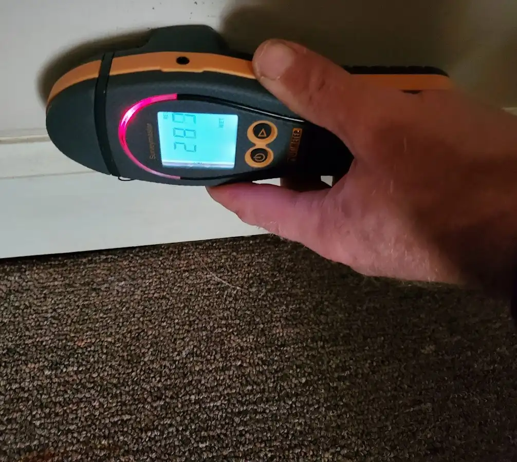Moisture detection at baseboard during Sewage Cleanup & Sanitation in St. Francis